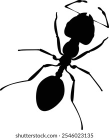 Ant Silhouette Icon for Nature, Insects, and Ecology