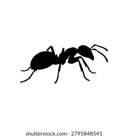 Ant silhouette icon vector illustration design.