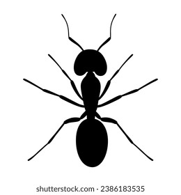 Ant silhouette icon. Vector image