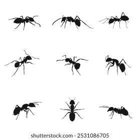 Ant Silhouette icons ilustrations. vector

