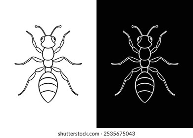 Ant silhouette illustration color Icon on White and black Vector Background.