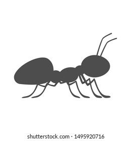 Ant silhouette on white background. Vector icon.