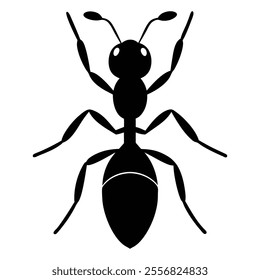 ant silhouette on white background