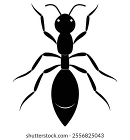 ant silhouette on white background