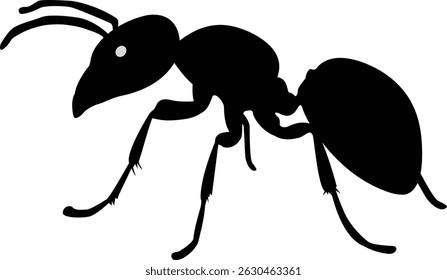 Ant Silhouette on White Background.