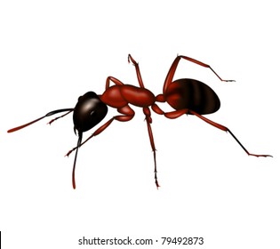 Ant A Silhouette In Vector