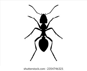 Ant silhouette vector art white background