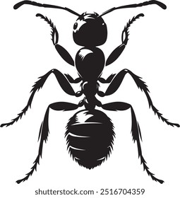 Ant Silhouette Vector Design EPS