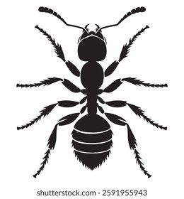 Ant silhouette vector design isolated on a white background.
