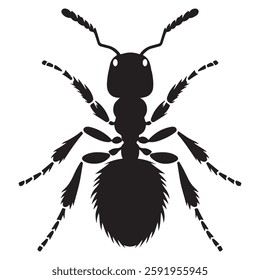 Ant silhouette vector design isolated on a white background.