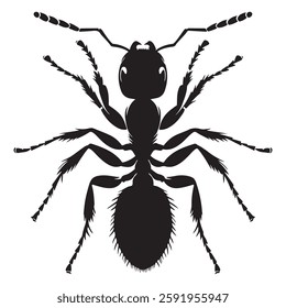 Ant silhouette vector design isolated on a white background.