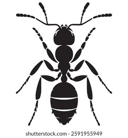 Ant silhouette vector design isolated on a white background.