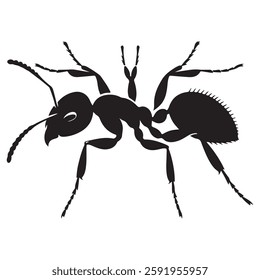 Ant silhouette vector design isolated on a white background.