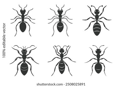 Ant silhouette vector illustration art design. Ant silhouette vector. Set of Ant silhouette icon logo template vector illustration design.