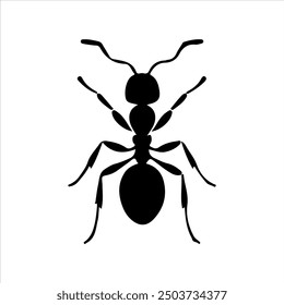 Ant silhouette vector illustration on white background
