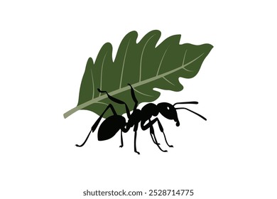 Ant silhueta vetor ilustração fundo branco