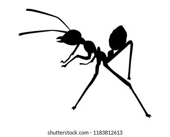 Ant silhouette vector. Insect in black and white concept.
