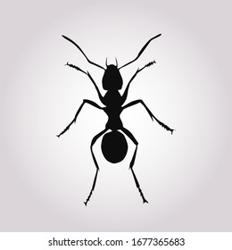 Vector de silueta de hormiga. Inscripción en el concepto blanco y negro.Ilustración vectorial