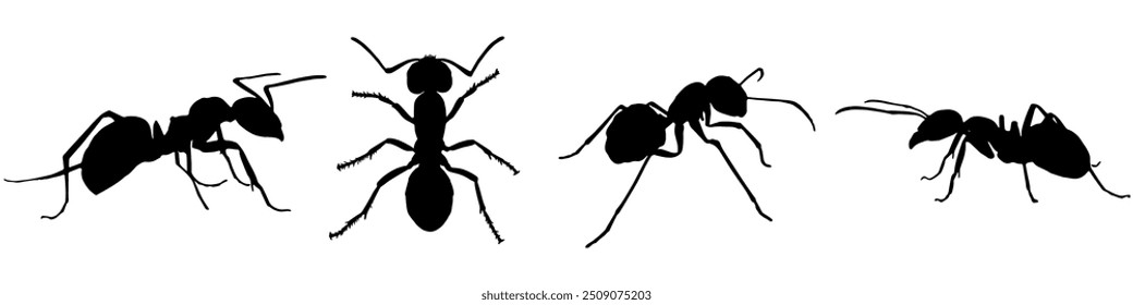 ant silhouette vector set design