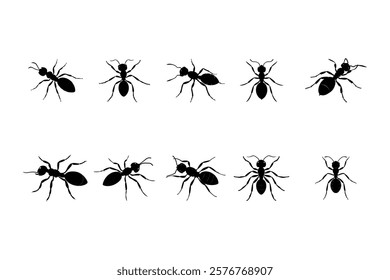 Ant silhouette vector set illustration , 