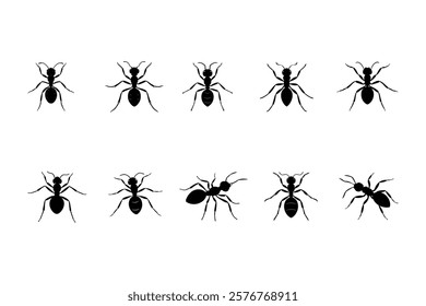 Ant silhouette vector set illustration , 