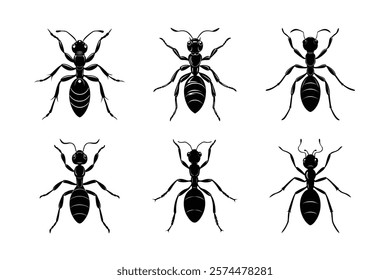 Ant silhouette vector set with white background