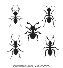 Ant silhouette vector Style with white background