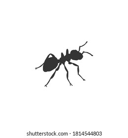 Ant silhouette vector, symbol on a white background