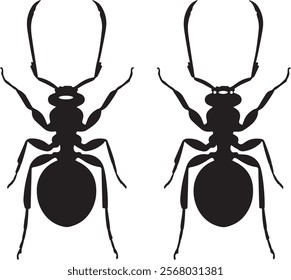 A   Ant Silhouette Vector With White Background Vol - 3, ant silhouette vector set ,ant crawling silhouette black