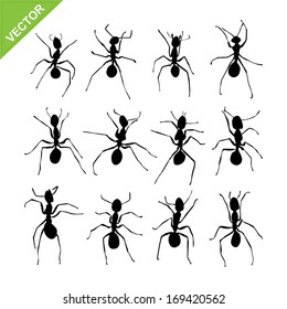 Ant silhouettes vector