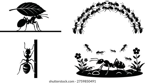 Ant silhouettes vector illustration, teamwork bridge building, ant carrying leaf, colony climbing insect, natural environment artwork, black insect silhouettes, stock design