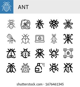 ant simple icons set. Contains such icons as Bed bug, Ant, Insect, Earwig, Mosquito, Stink bug, Bug, Stonefly, Mantis, Moth, Ladybug, Pheidole, can be used for web, mobile and logo