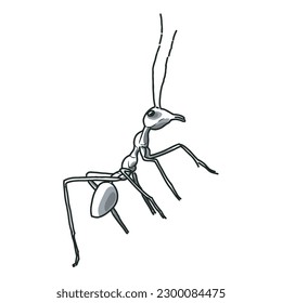 Ant sketch 2 vector isolated on white. 