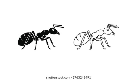 Ant Species Comparison Guide Identification Vector