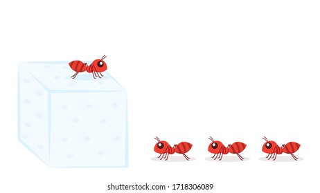 Ant and Sugar stack vector. free space for text. copy space.