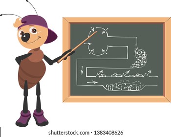 Ant Teacher At Blackboard Shows Drawing. Animal Education Vector Cartoon Illustration Isolated On White