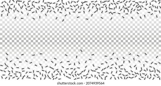 Ant trail Hintergrund. Ameisenkolonie-Teamkonzept. Insektengruppe einzeln. Vektorgrafik