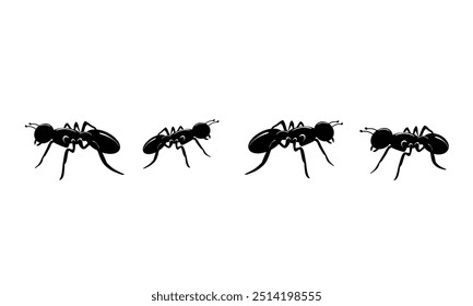 Ant trail. Ant column. Black insect silhouettes trip. Teamwork, hard work concept.