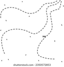 Ant trail illustration silhouettes. Insect path to the home.