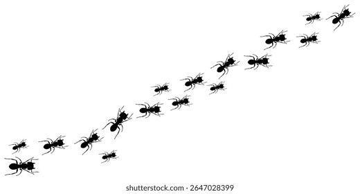 Linha de Inseto de Trilha de Formiga Marchando Silhuetas Pretas no Fundo Branco