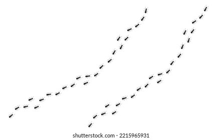 Ant Trail, Marching Insects Line Background. Spreading Pests Trail Or Marching Insects Pathway Vector Background. Traveling Ant Colony Workers Line, Termite Pests Invasion