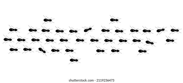 Ant trail marching in row. Insect path in different direction. Vector silhouette illustration