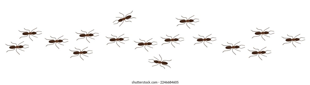 Ant trail row in hand drawn cartoon style