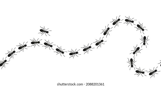 Ant trail seamless pattern. A line of marching ants. Vector illustration on white background 