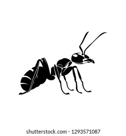 ant tribal logo
