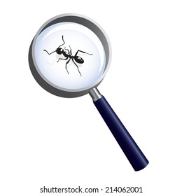 ant under magnifying glass