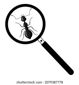 An ant under a magnifying glass isolated on white background. Icon viewing an insect for kids book. Symbol search. Design flat nature elements. Vector illustration.