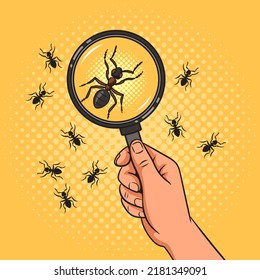 ant under magnifying glass pop art retro vector illustration. Comic book style imitation.