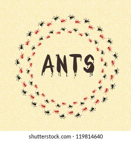 Ant vector