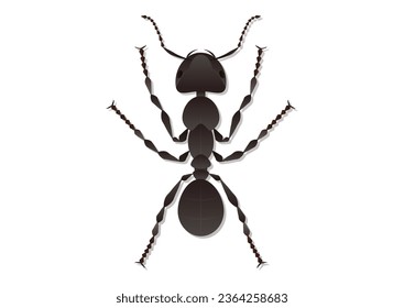 Ant Vector Art Isolated on White Background